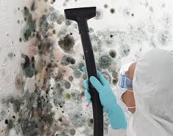 Best Biohazard Mold Removal  in Larksville, PA